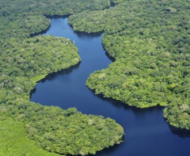 amazonia-leed