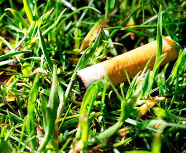 reciclagem-bituca-de-cigarro