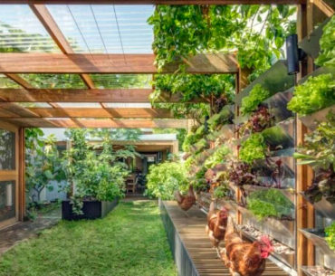 Casa autossustentável produz energia e alimentos em Sydney