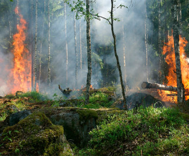 Humanidade já extrapolou os recursos naturais deste ano